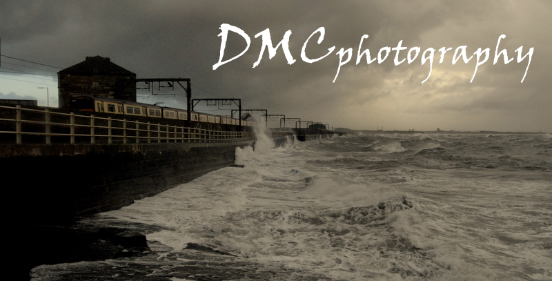 DMCphotography